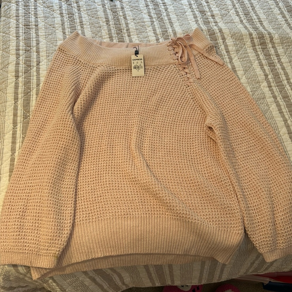 Express Pink Sweater